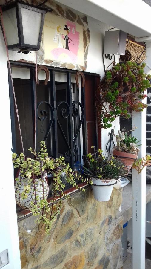 Apartamento Arbol De Vida - Cerca Estadio Cartuja 세비야 외부 사진