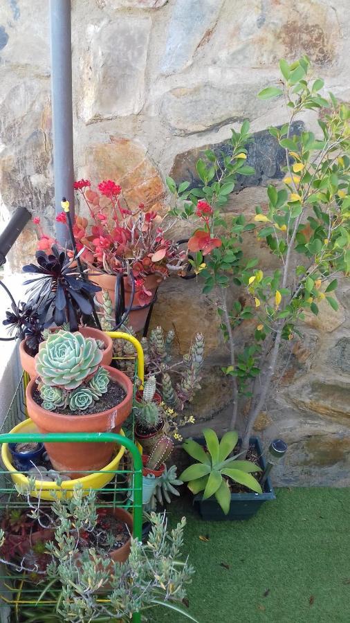 Apartamento Arbol De Vida - Cerca Estadio Cartuja 세비야 외부 사진